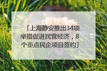 上海静安推出34项举措促进民营经济，8个重点民企项目签约