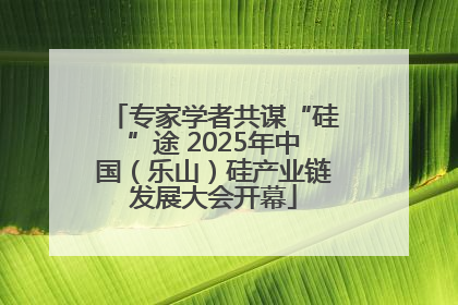 专家学者共谋“硅”途 2025年中国（乐山）硅产业链发展大会开幕