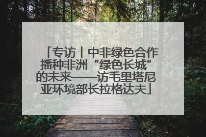 专访丨中非绿色合作播种非洲“绿色长城”的未来——访毛里塔尼亚环境部长拉格达夫