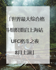 世界最大综合格斗组织重启上海站 UFC格斗之夜8月上演