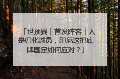 世预赛｜首发阵容十人是归化球员，印尼这把底牌国足如何应对？