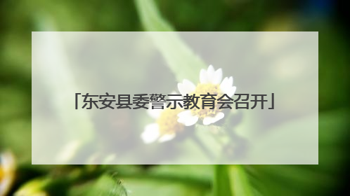 东安县委警示教育会召开