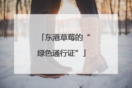 东港草莓的“绿色通行证”