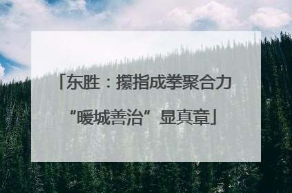 东胜：攥指成拳聚合力 “暖城善治”显真章