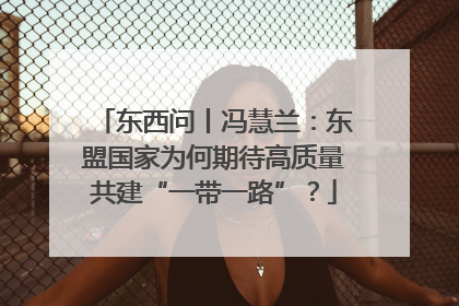 东西问丨冯慧兰：东盟国家为何期待高质量共建“一带一路”？