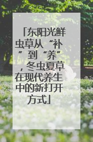 东阳光鲜虫草从“补”到“养”，冬虫夏草在现代养生中的新打开方式