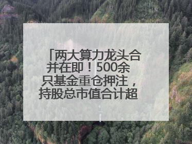 两大算力龙头合并在即！500余只基金重仓押注，持股总市值合计超380亿元