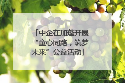 中企在加蓬开展“童心同路，筑梦未来”公益活动