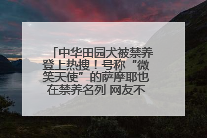 中华田园犬被禁养登上热搜！号称“微笑天使”的萨摩耶也在禁养名列 网友不解西安多部门回应