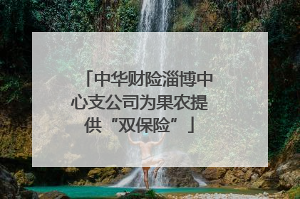 中华财险淄博中心支公司为果农提供“双保险”