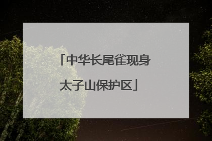中华长尾雀现身太子山保护区