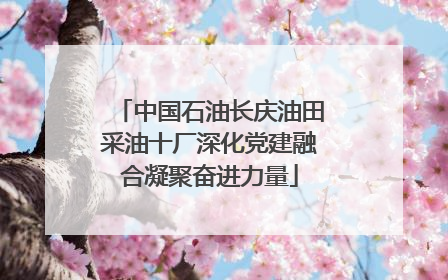 中国石油长庆油田采油十厂深化党建融合凝聚奋进力量