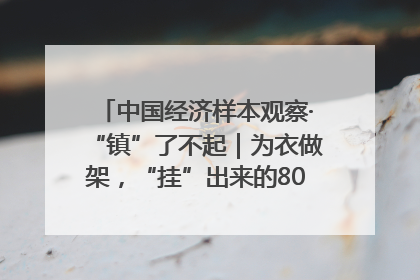 中国经济样本观察·“镇”了不起｜为衣做架，“挂”出来的80亿元“衣架产业”