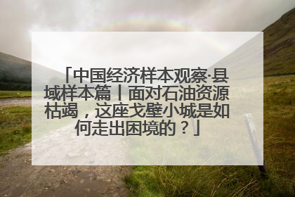 中国经济样本观察·县域样本篇丨面对石油资源枯竭，这座戈壁小城是如何走出困境的？