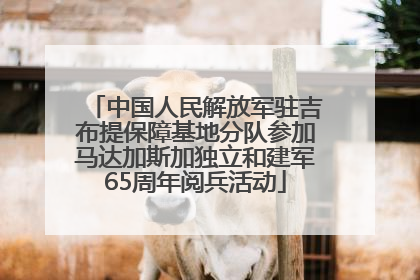 中国人民解放军驻吉布提保障基地分队参加马达加斯加独立和建军65周年阅兵活动