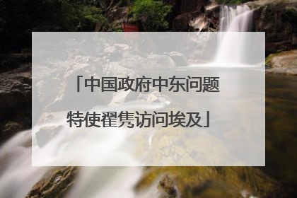 中国政府中东问题特使翟隽访问埃及