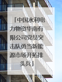 中国水利电力物资华南有限公司党员突击队勇当新能源市场开拓排头兵