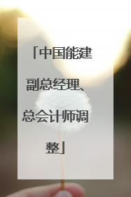 中国能建副总经理、总会计师调整