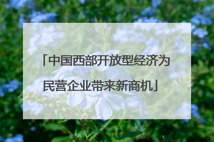中国西部开放型经济为民营企业带来新商机