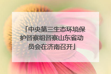 中央第三生态环境保护督察组督察山东省动员会在济南召开