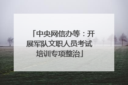 中央网信办等：开展军队文职人员考试培训专项整治