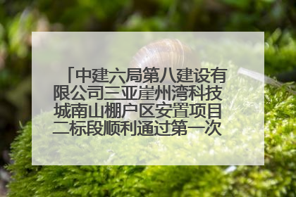 中建六局第八建设有限公司三亚崖州湾科技城南山棚户区安置项目二标段顺利通过第一次主体结构验收