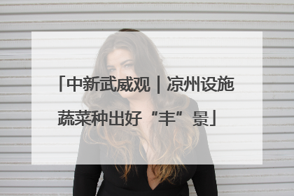中新武威观｜凉州设施蔬菜种出好“丰”景