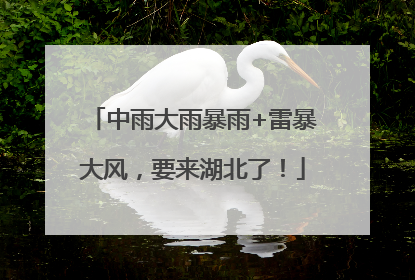 中雨大雨暴雨+雷暴大风，要来湖北了！