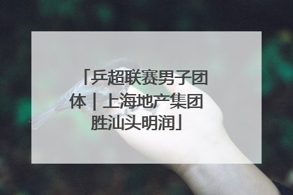 乒超联赛男子团体｜上海地产集团胜汕头明润