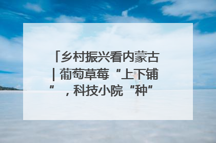 乡村振兴看内蒙古｜葡萄草莓“上下铺”，科技小院“种”出三倍效益