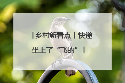 乡村新看点丨快递坐上了“飞的”