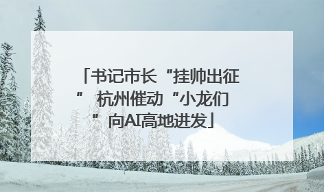 书记市长“挂帅出征” 杭州催动“小龙们”向AI高地进发