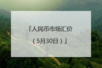 人民币市场汇价（5月30日）