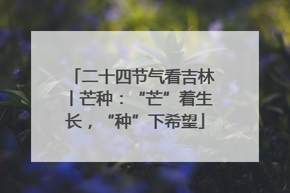 二十四节气看吉林丨芒种：“芒”着生长，“种”下希望