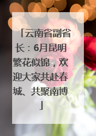 云南省副省长：6月昆明繁花似锦，欢迎大家共赴春城、共聚南博