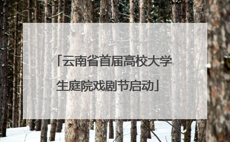 云南省首届高校大学生庭院戏剧节启动