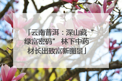 云南普洱：深山藏“绿富密码” 林下中药材长出致富新图景