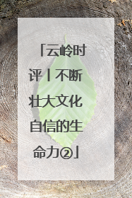 云岭时评丨不断壮大文化自信的生命力②