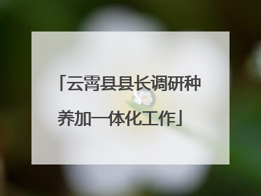 云霄县县长调研种养加一体化工作