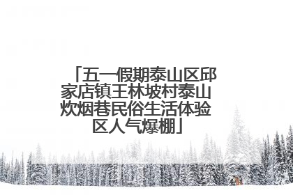 五一假期泰山区邱家店镇王林坡村泰山炊烟巷民俗生活体验区人气爆棚