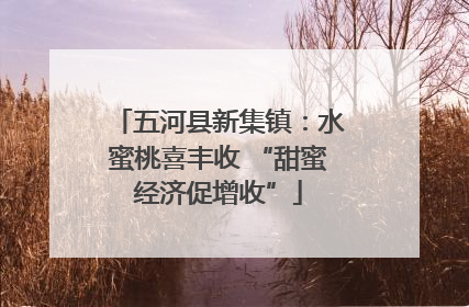 五河县新集镇：水蜜桃喜丰收 “甜蜜经济促增收”