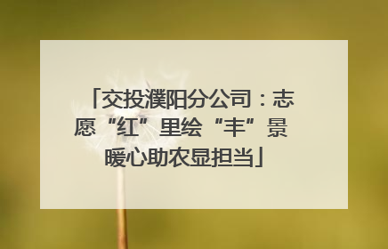交投濮阳分公司：志愿“红”里绘“丰”景 暖心助农显担当