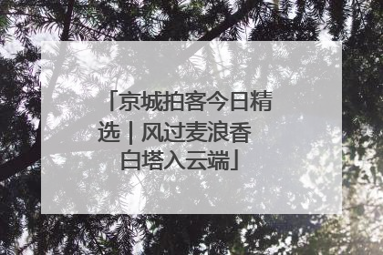 京城拍客今日精选｜风过麦浪香 白塔入云端
