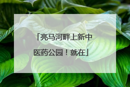亮马河畔上新中医药公园！就在