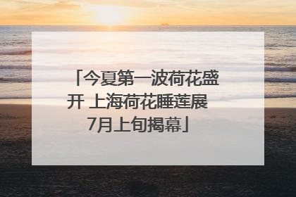 今夏第一波荷花盛开 上海荷花睡莲展7月上旬揭幕