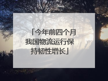 今年前四个月我国物流运行保持韧性增长
