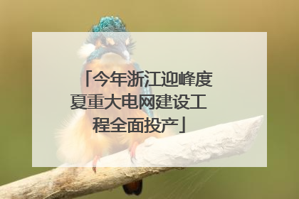 今年浙江迎峰度夏重大电网建设工程全面投产