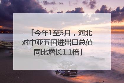 今年1至5月,河北对中亚五国进出口总值同比增长1.1倍