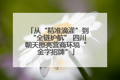 从“精准滴灌”到“全链护航” 四川朝天擦亮营商环境“金字招牌”