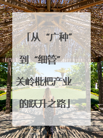从“广种”到“细管” 关岭枇杷产业的跃升之路